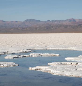 Un decreto que viola derechos humanos consagrados y fundamentales en Jujuy