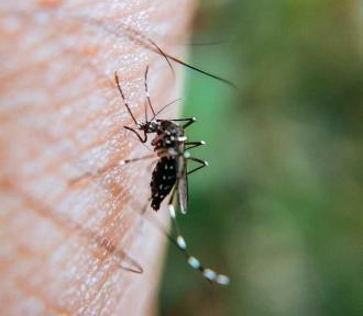 ¿Por qué hablar de dengue es hablar de derechos humanos?